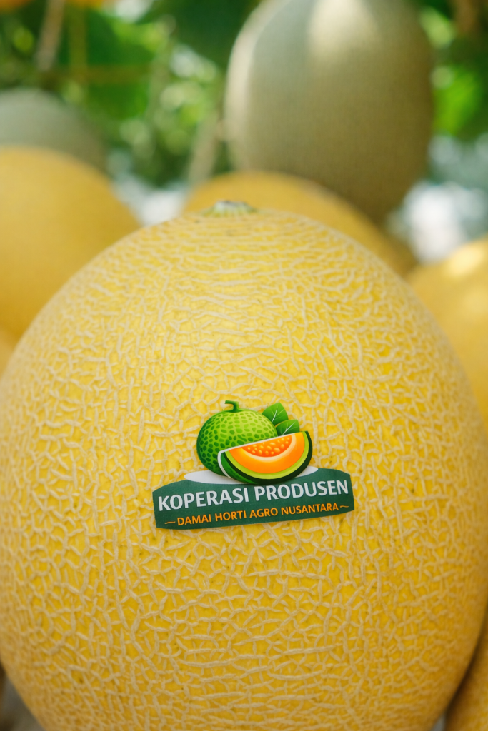 Premium Melon Product